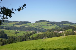 Aussicht