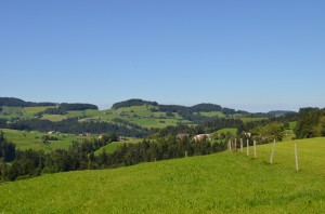 Aussicht2