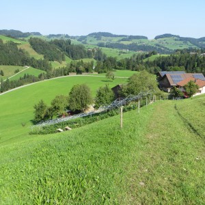 Aussicht3
