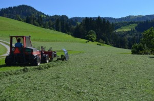 Maedeln
